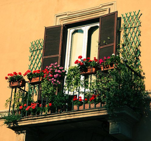 balcony-garden2
