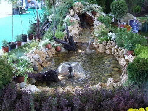 water-garden2
