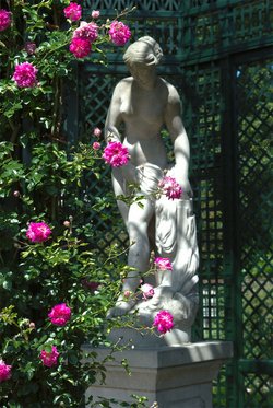 rose-garden1