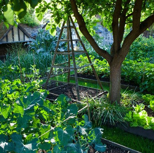 vegetebles-garden