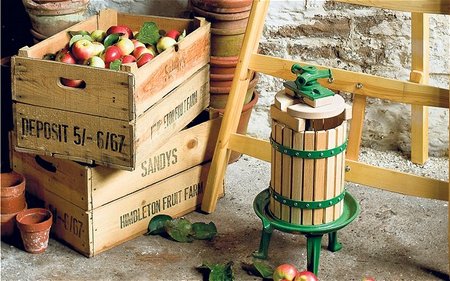 apples-storing