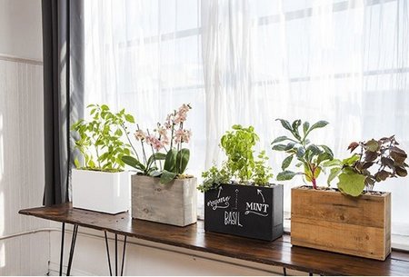 planter-boxes-indoor
