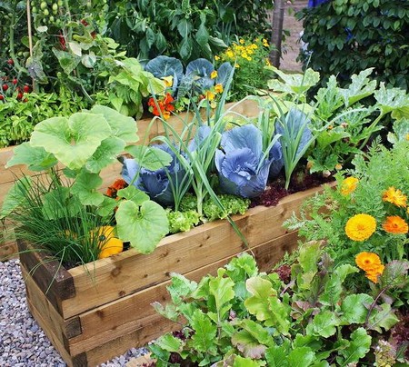Organic-garden2