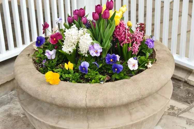 Creative Ways to Display Hypertufa Container Plants with colorful flower