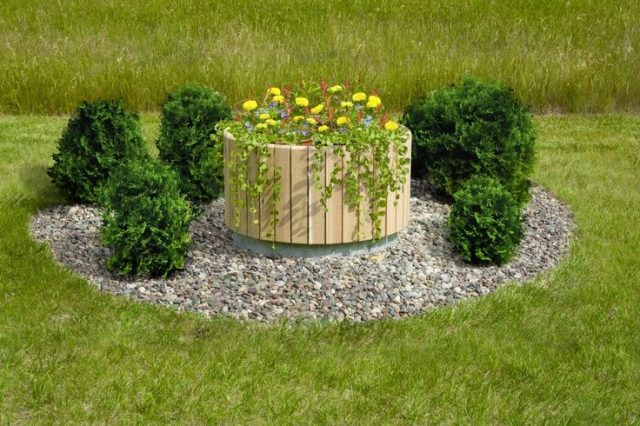Planning a Garden above Septic Tank