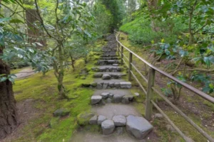 Pathways and Circulation with stone steps road
