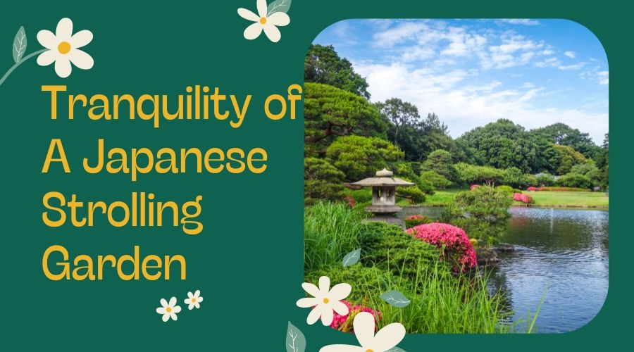 japanese stroll garden with colorful flower, grasses, pond
