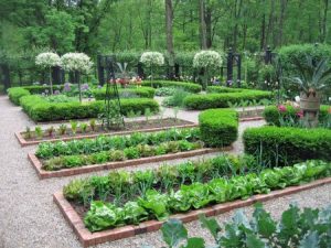 vegetable garden layout potagers