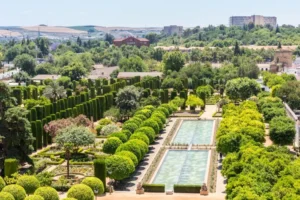 Cultural Significance in Persian Gardens green trees with water
