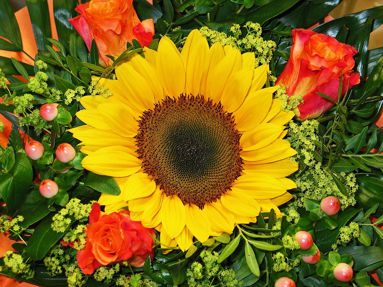 sunflower-1509778_1280